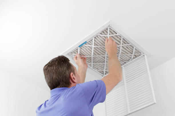Best Air Duct Mold Removal  in University Park, IL